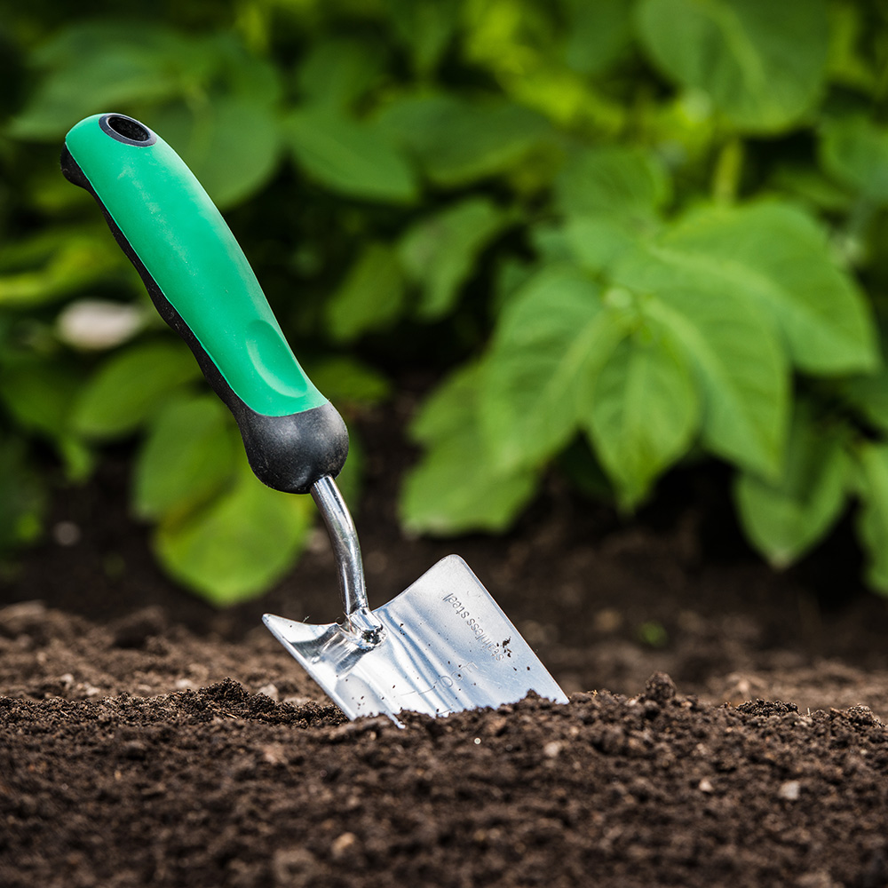 Best Potting Soil for Your Plants - The Home Depot