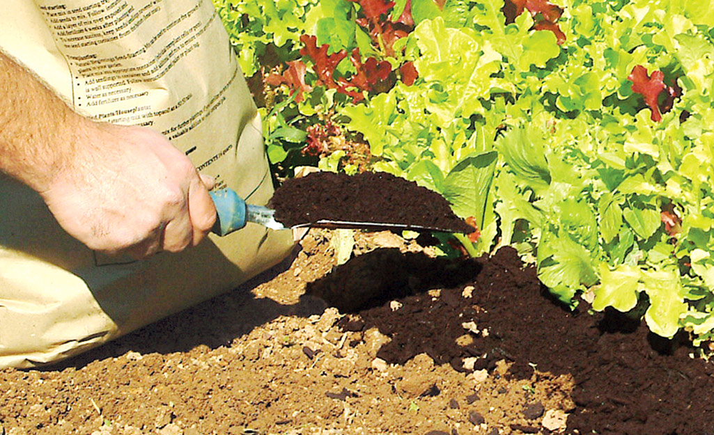 A person adding soil amendments into a garden.