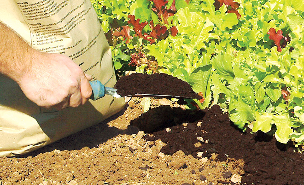 Soil Component - Horticultural Sand