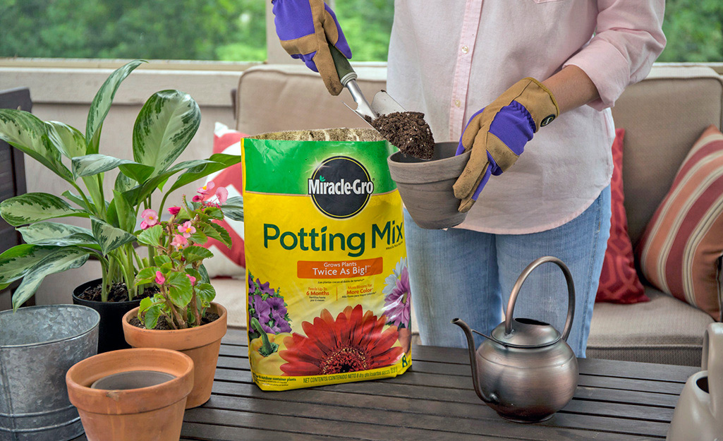 A gardener fills a pot with potting mix.