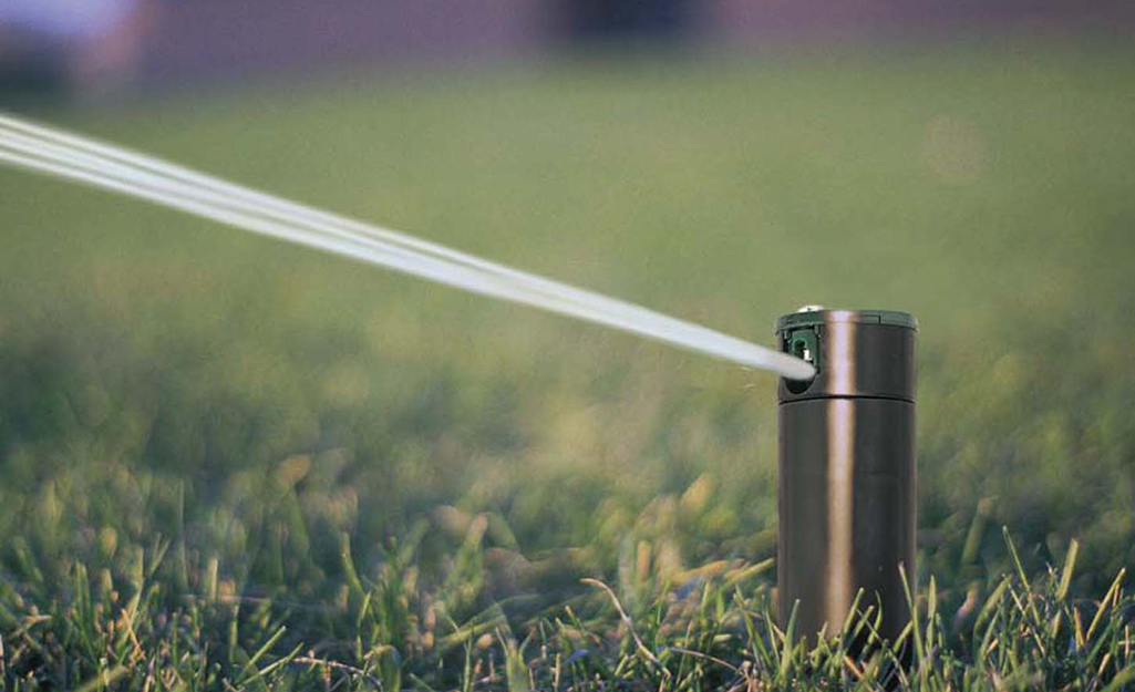 A stream of water sprayer from a gear-driven sprinkler head. 