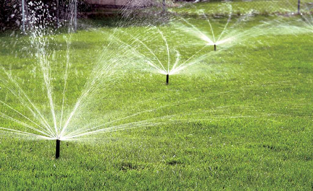 lawn sprinkler head spraying water