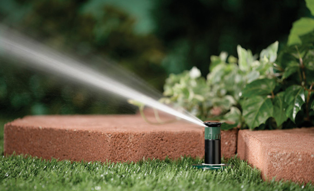 Choosing the Right Sprinkler Heads