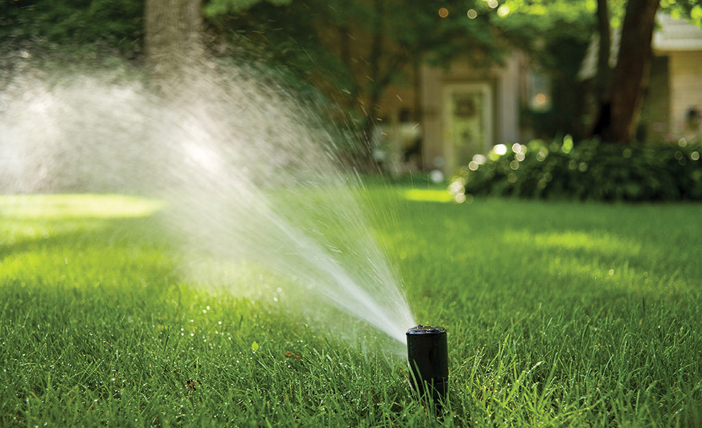 Water flows from a rotary sprinkler head in a yard.