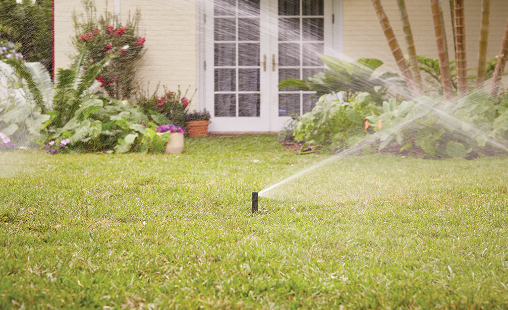 A pair of sprinkler heads spray water onto a lawn.