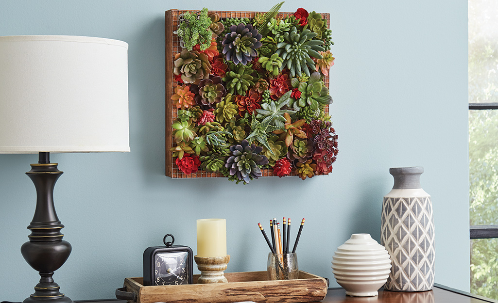 Different colored succulents growing on a board hung as wall art