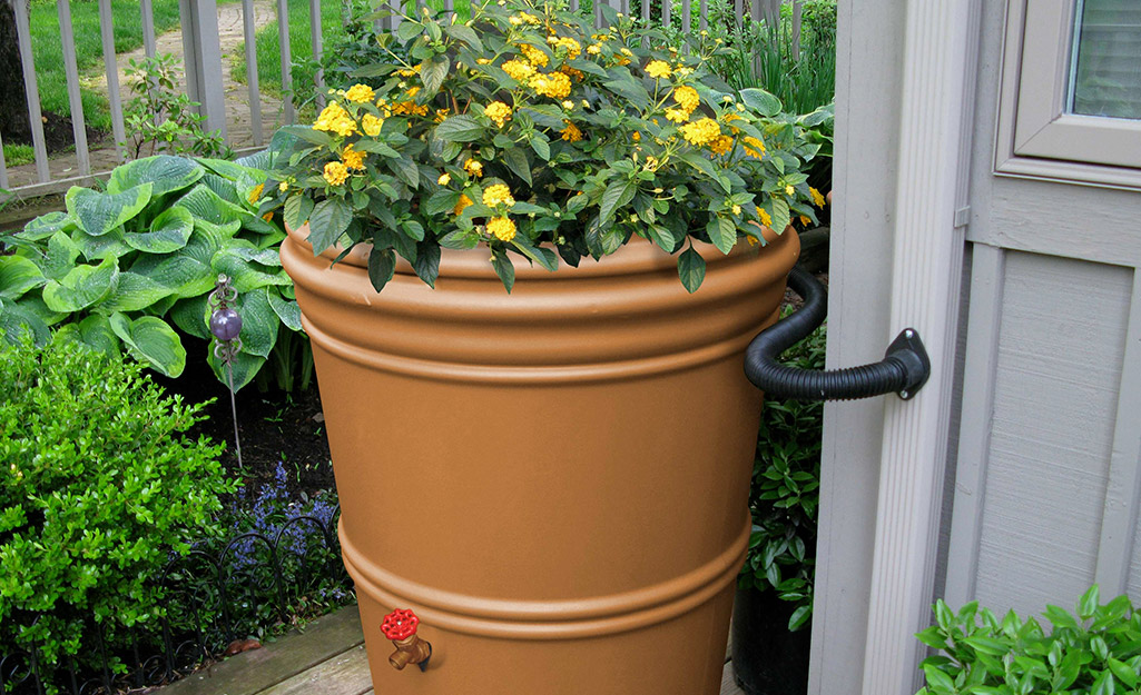 Rain barrel with flowers