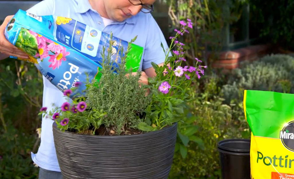 How To Fill Large Planters  From Potting Soil To Drainage Holes