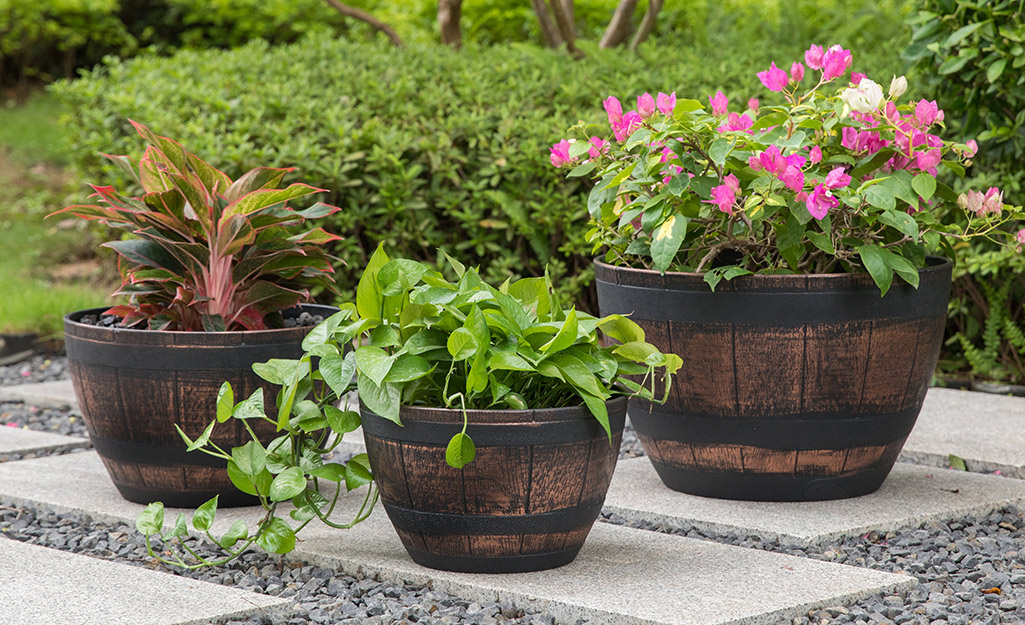 How To Fill Large Planters  From Potting Soil To Drainage Holes