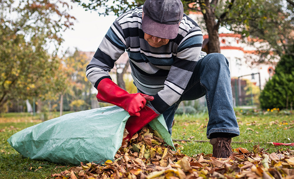 5 Ways to Use Leaves in Your Yard - The Home Depot