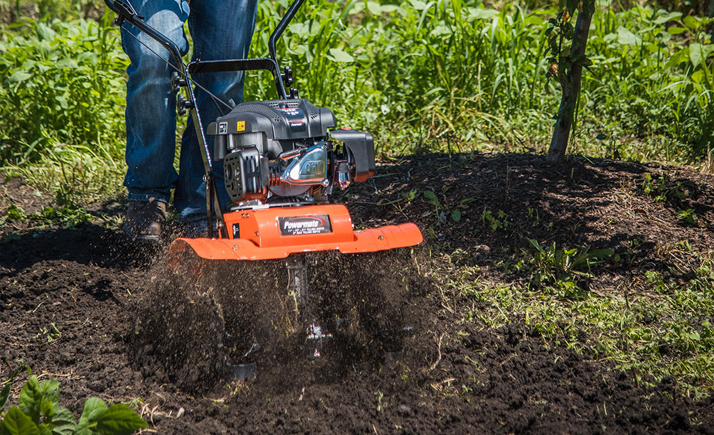 5 Ways to Use Leaves in Your Yard - The Home Depot