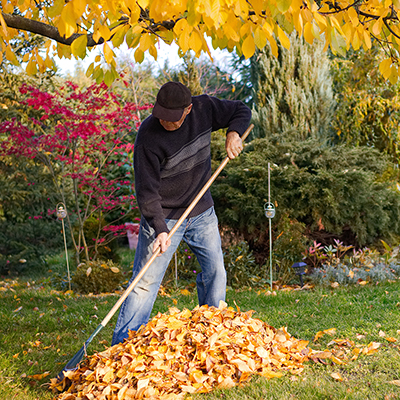 5 Ways to Use Leaves in Your Yard