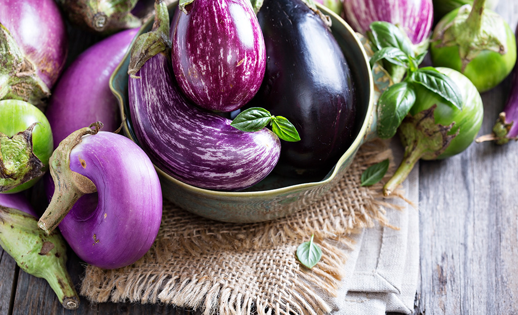 Ripe purple eggplant in a bowl