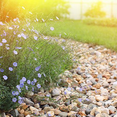 A dry creek bed in a backyard.