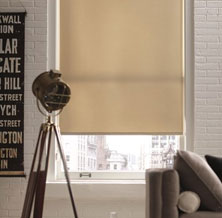Blinds & Window Treatment