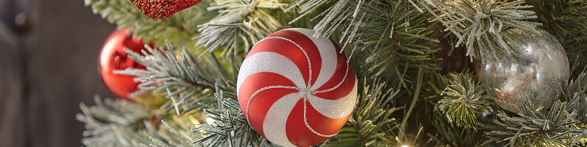Bring back the joy year after year