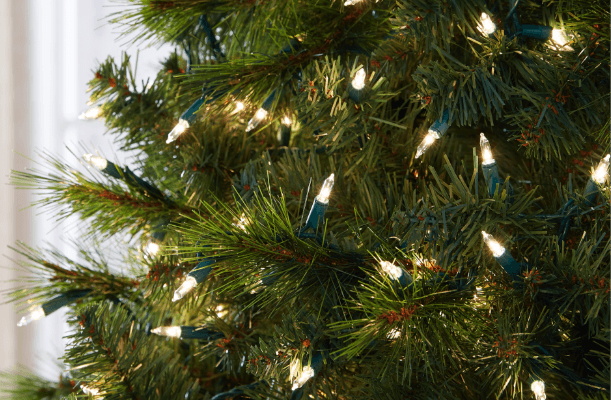 Christmas Trees