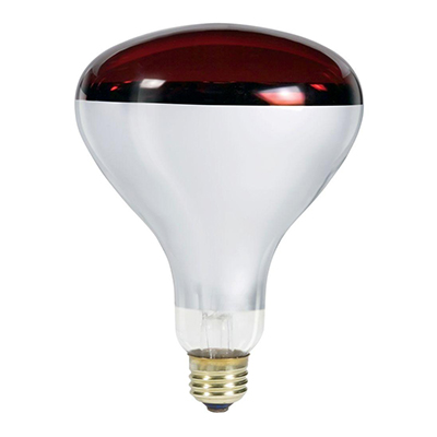 Light Bulbs - The Home Depot