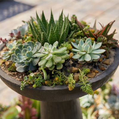 outdoor ideas how to guides at the home depot