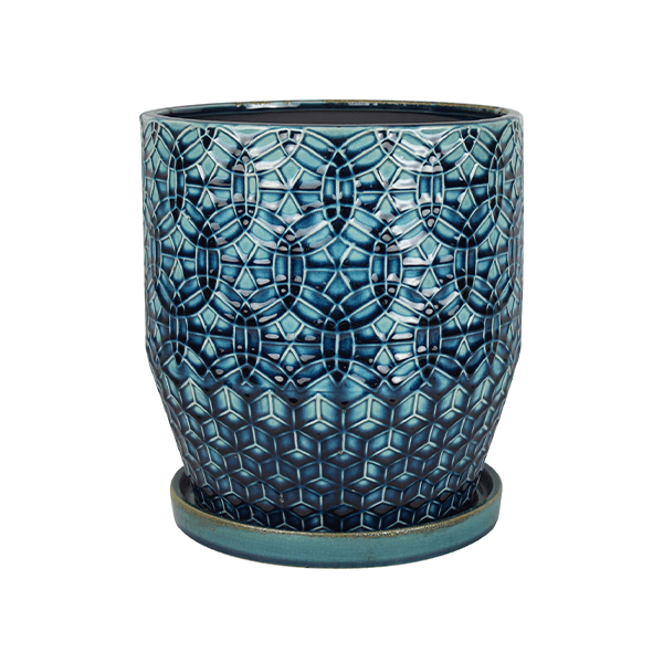 Indoor Plants The Home Depot