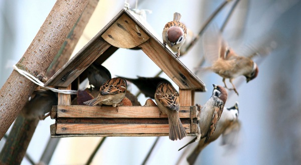 Outdoor Decor – The Home Depot