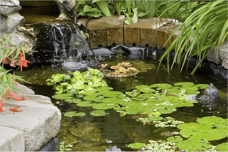 Floating Koi Pond Planter and Fountain Pump Holder System for Plants