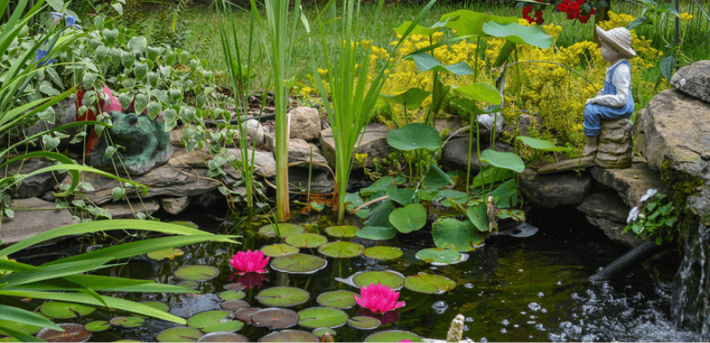 Pond Supplies The Home Depot