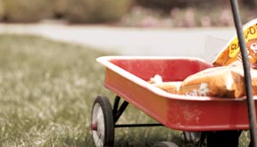 Outdoors - Outdoor Living, Landscaping & Gardening at The Home Depot