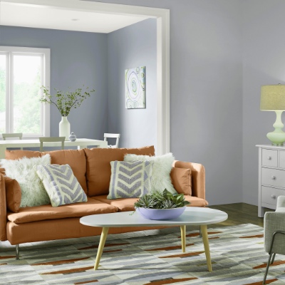 interior paint - the home depot