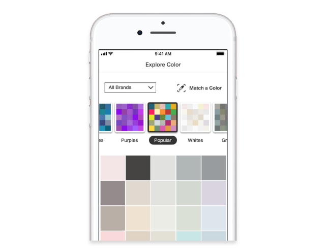 Home Depot Color Chart App