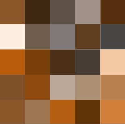 Shades Of Brown Paint Color Chart