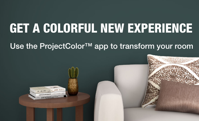 Home Depot Color Chart App