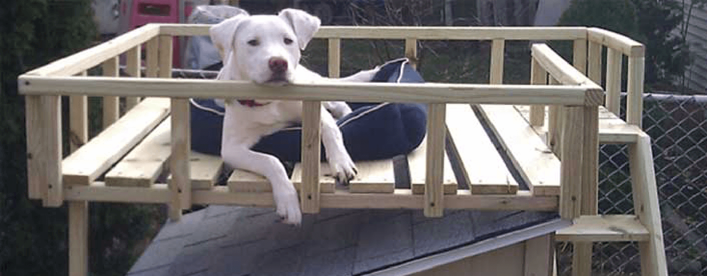 Dog Houses Dog Carriers, Houses & Kennels The Home Depot