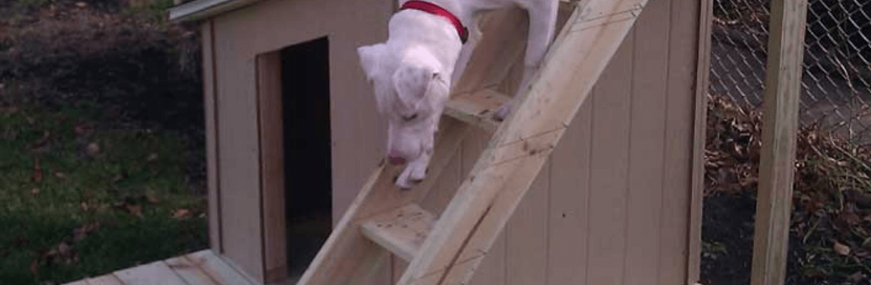 Construct ladder - Build Dog House with Sun Deck Construct ladder - Build Dog House with Sun Deck