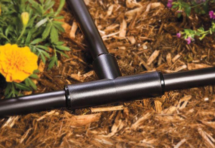 Install T’s branch lines - Drip Irrigation System Install T’s branch lines - Drip Irrigation System
