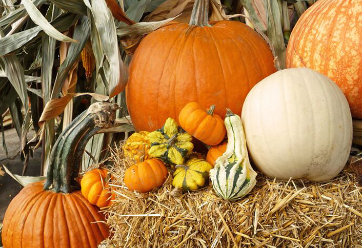 Celebrate harvest - Pumpkin Decorating Tips Celebrate harvest - Pumpkin Decorating Tips