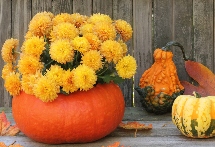 Make pumpkin planter - Pumpkin Decorating Tips Make pumpkin planter - Pumpkin Decorating Tips