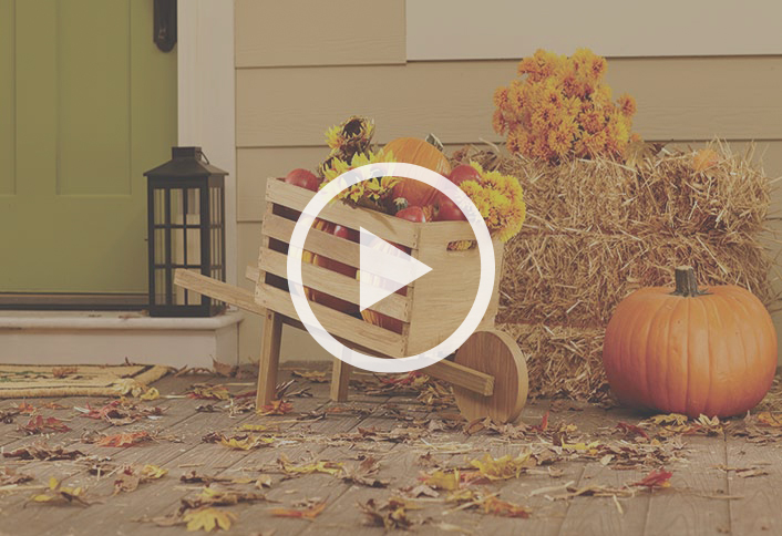 Build Your Own Decorative Rustic Wheelbarrow