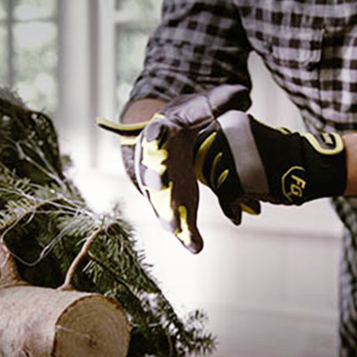 How to set up a Live Christmas Tree