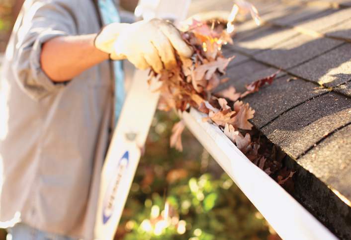 Homedepot Image Homedepot Image
