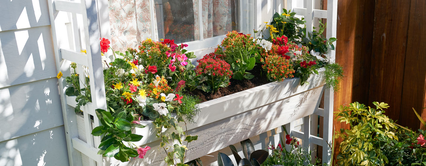 Build your own window box for new way to display an array of plants and flowers Build your own window box for new way to display an array of plants and flowers
