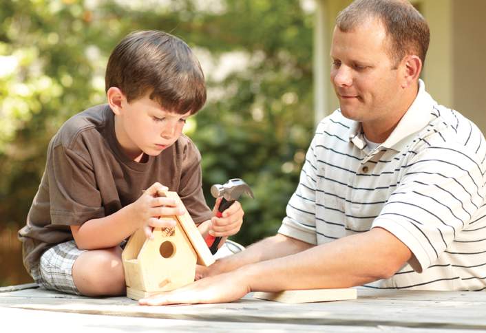 Build own birdhouse - Friendly Projects Summertime Fun Build own birdhouse - Friendly Projects Summertime Fun