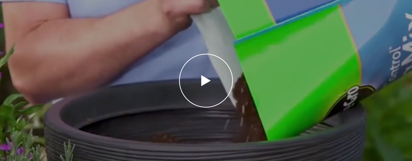 Buying Potting Compost at The Home Depot