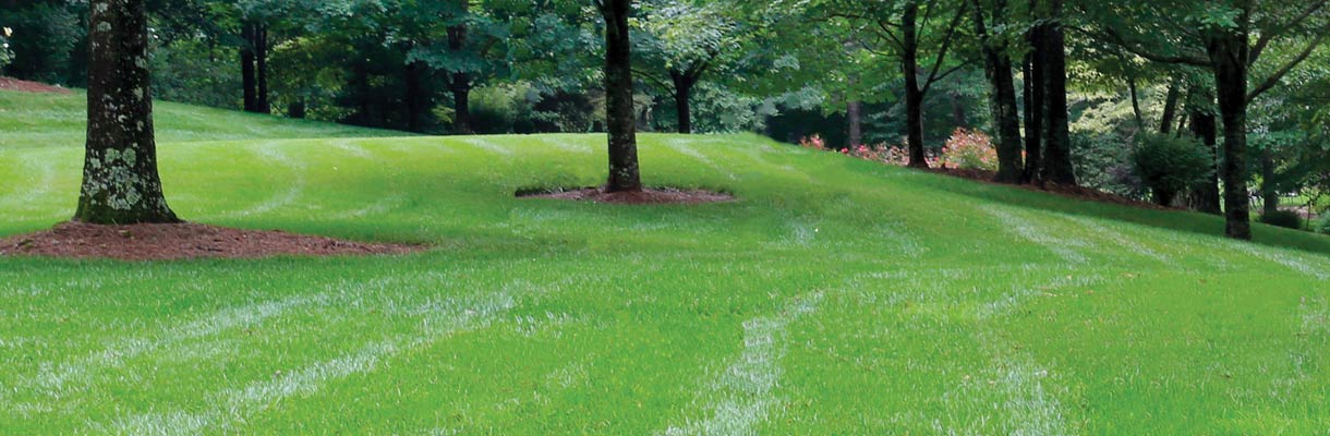 Create a playhouse-ready backyard Create a playhouse-ready backyard