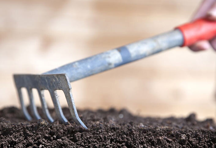 Preparation location - Grow a Wildflower Garden Preparation location - Grow a Wildflower Garden