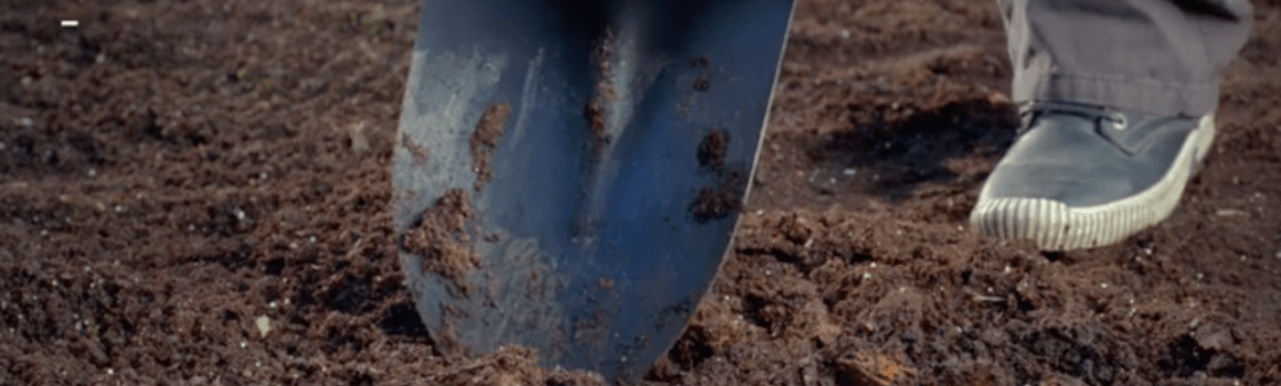 DIG AND PLANT DIG AND PLANT