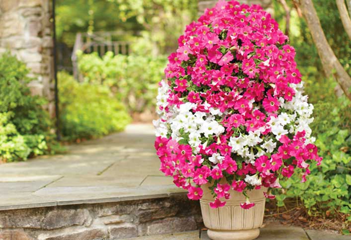 How to Build a Flower Tower How to Build a Flower Tower