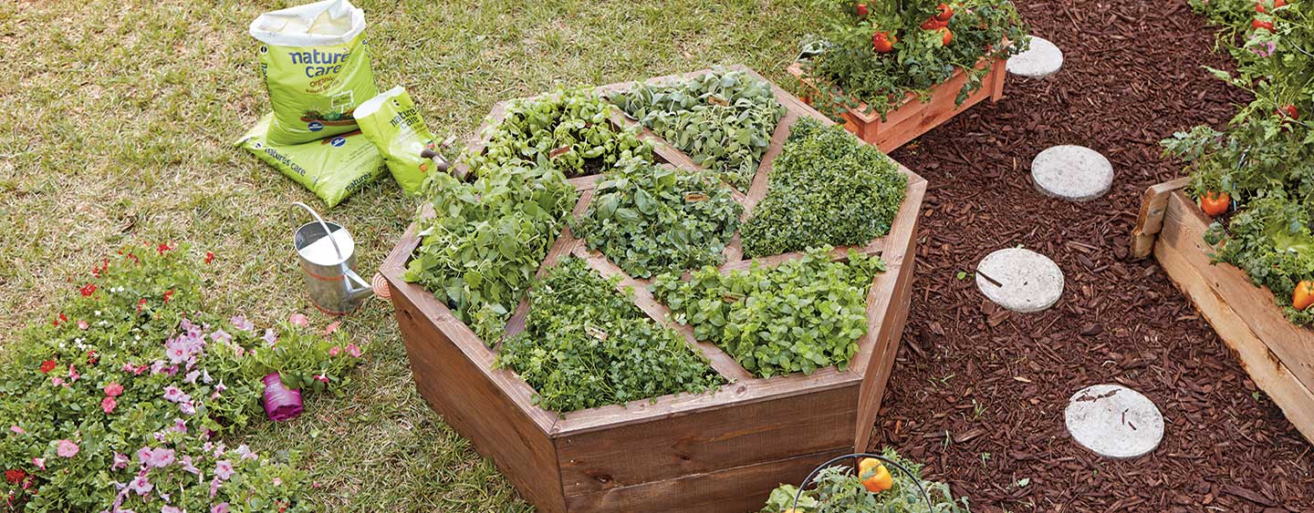 How to Build a Hexagon Planter