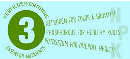 NPK fertilizer NPK fertilizer
