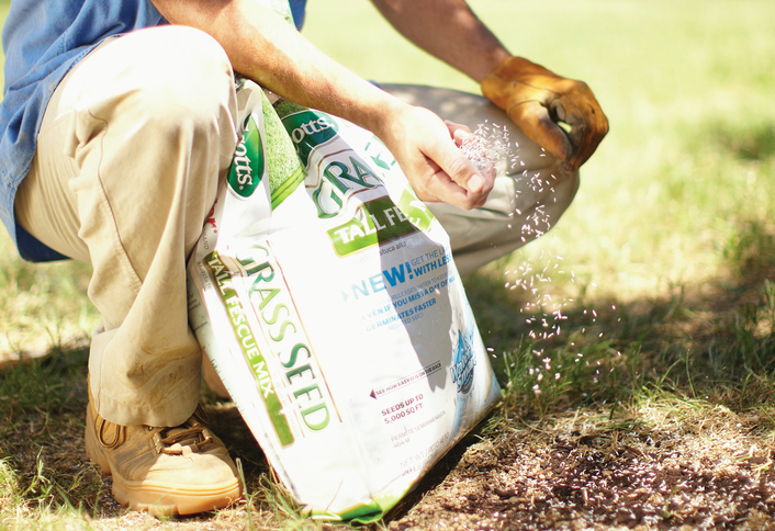 Sow seeds - How to Patch a Lawn with Seed Sow seeds - How to Patch a Lawn with Seed